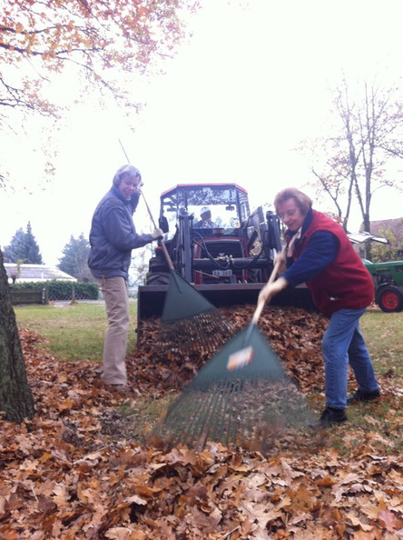 2011_11_19 Laubharkaktion und Erbseneintopf beim Backhaus 017.jpg